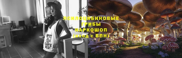 каннабис Корсаков