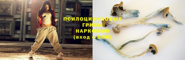 гидра Балабаново
