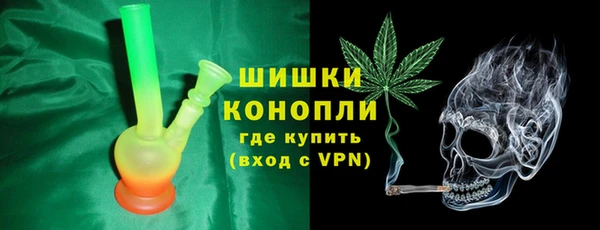 ПСИЛОЦИБИНОВЫЕ ГРИБЫ Михайлов