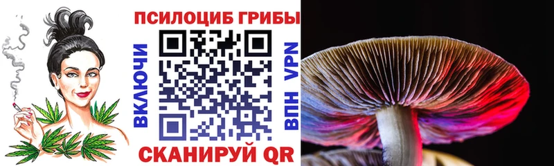 Псилоцибиновые грибы Magic Shrooms  Унеча 